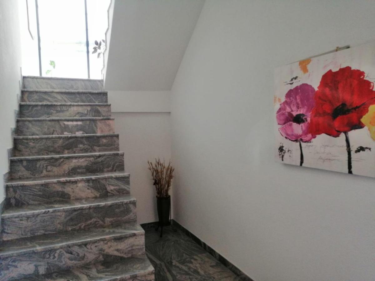 Apartmani Imamovic Dubrave Gornje 外观 照片